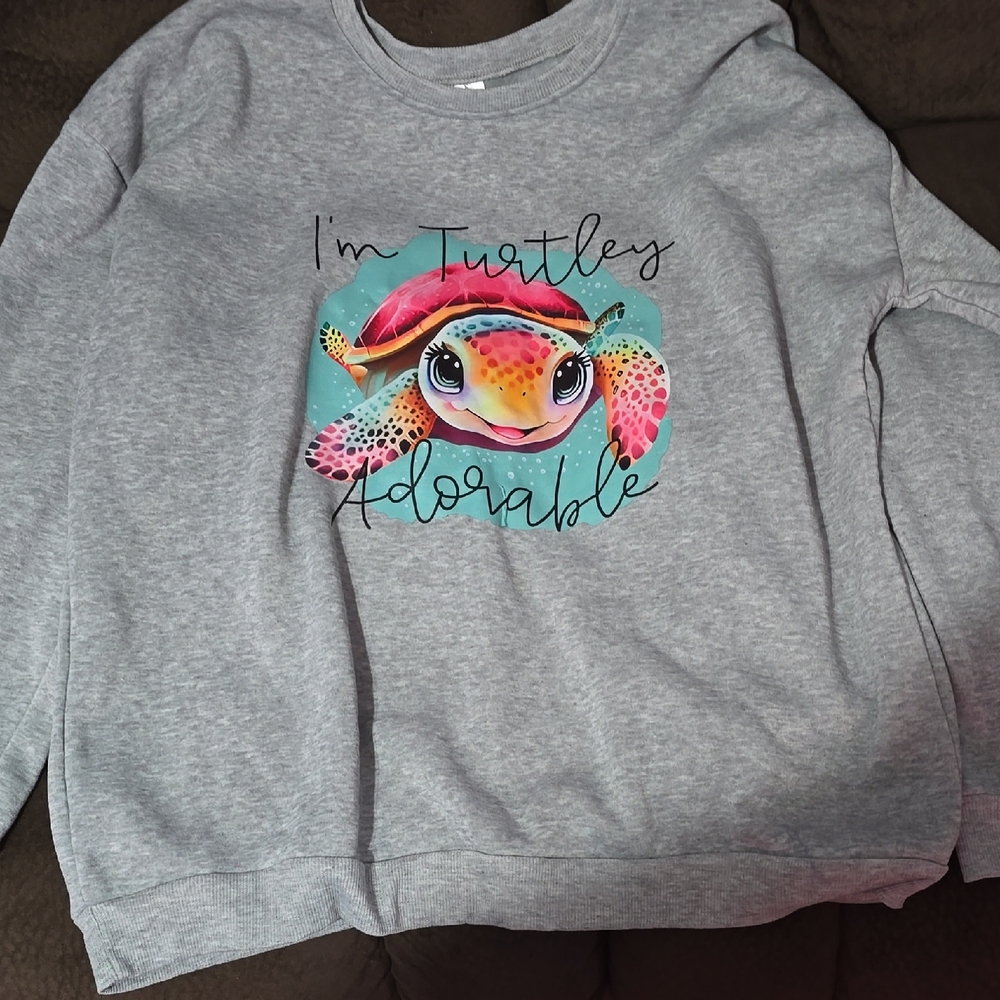 Gray Sweatshirt with Colorful Turtle Design
